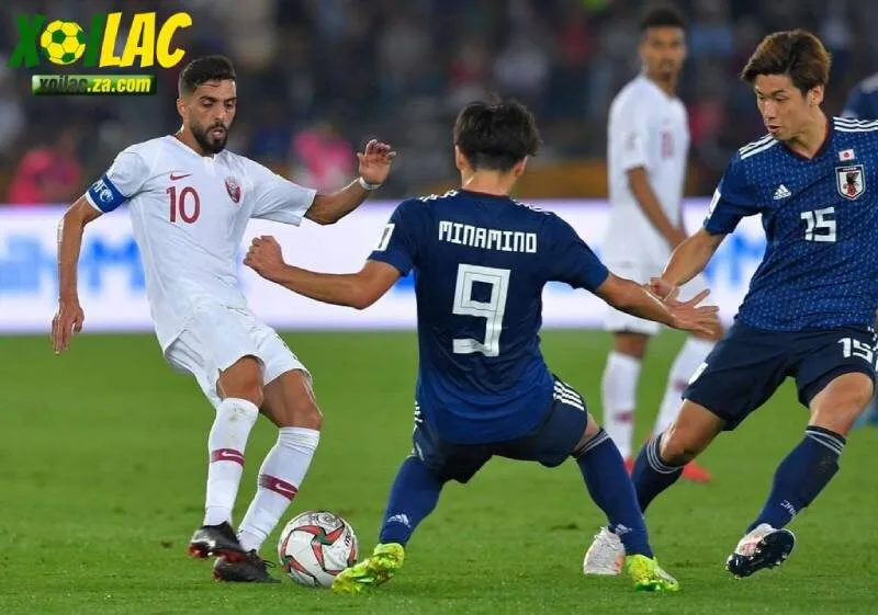 CF có vai trò cực kỳ quan trọng