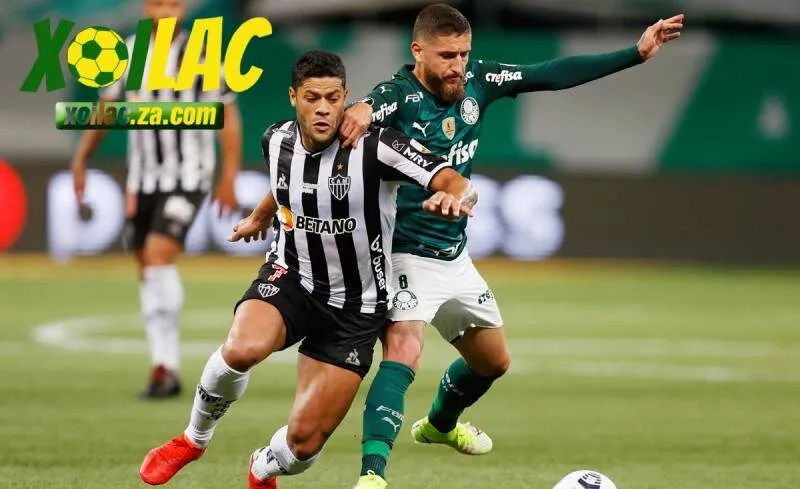 Chuyên gia nhận định trận đấu 