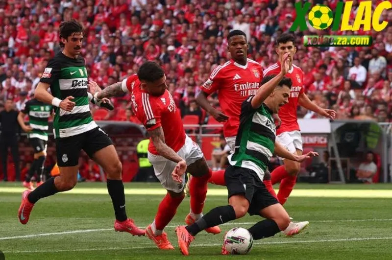 Đội khách Benfica