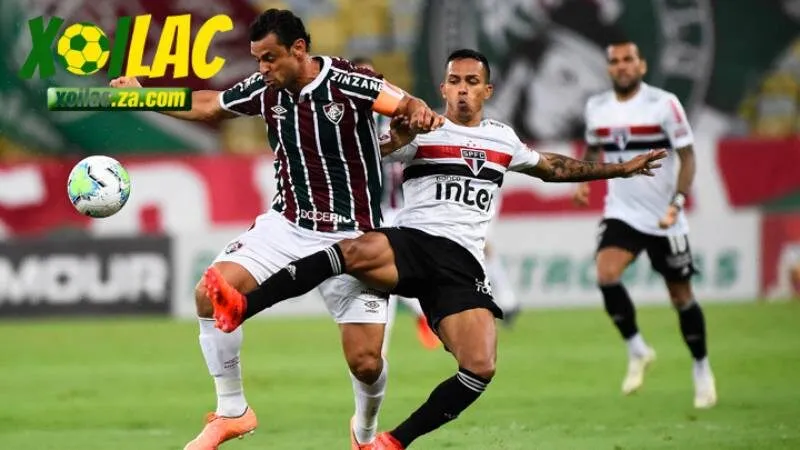 chuyên gia nghiêng về cửa Tài