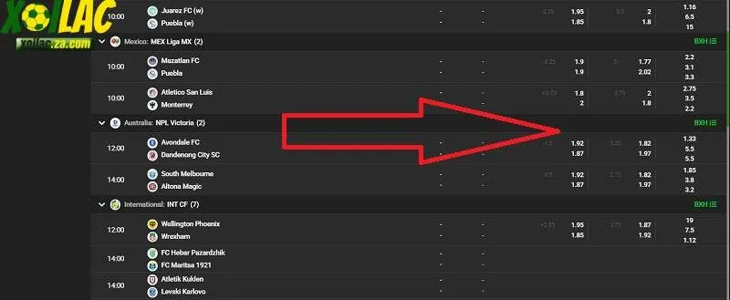 Xoi Lac cung cấp đa dạng tỷ lệ kèo