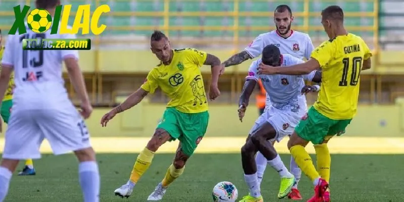 Đội khách Gorica